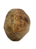 Plain Sourdough bread