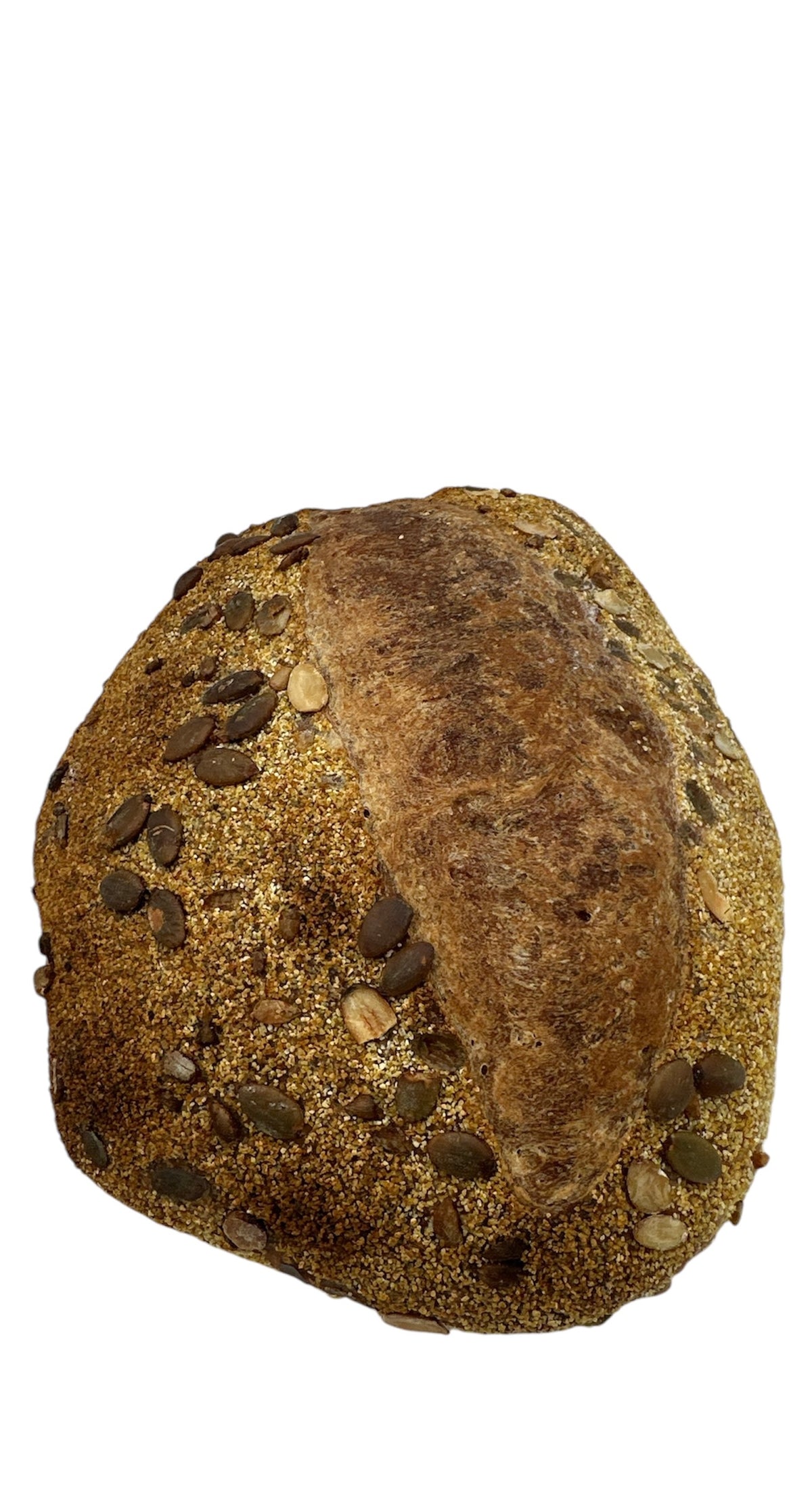 Corn & Red Fife sourdough bread